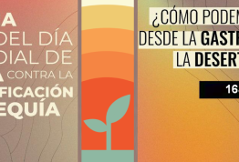 Día Mundial de la lucha contra la Desertificación y la sequía