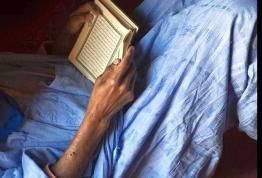 EL CORAZÓN Y EL CÁLAMO. La ciudad, los manuscritos y las familias