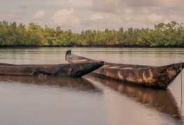 Descubre Gambia como destino turístico