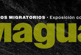 Exposición | Magua