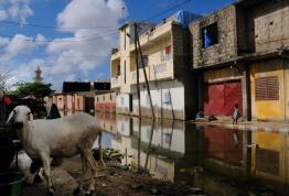 Elise Fitte Duval, premio Casa África 2011 de la Bienal de Fotografía de Bamako