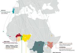 #ÁfricaEsNoticia | Seguimiento especial | COVID19 en África