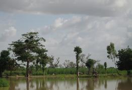 Un estudio sobre la influencia del petróleo en el desarrollo democrático de Nigeria gana el Premio de Ensayo Casa África 2009
