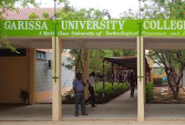 Especial sobre el atentado contra la Universidad de Garissa