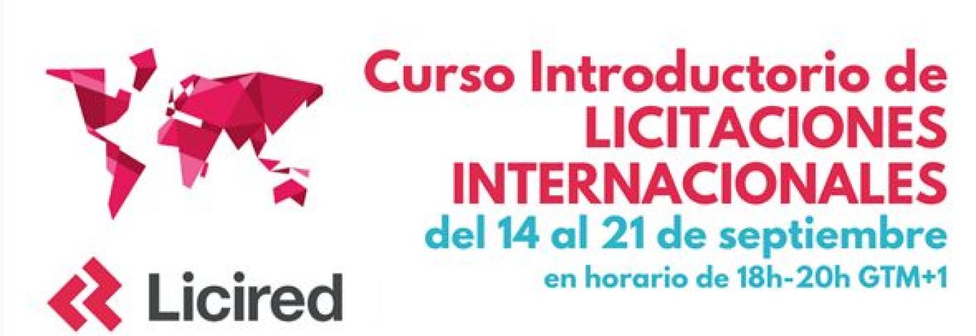 Curso Introductorio de Licitaciones Internacionales