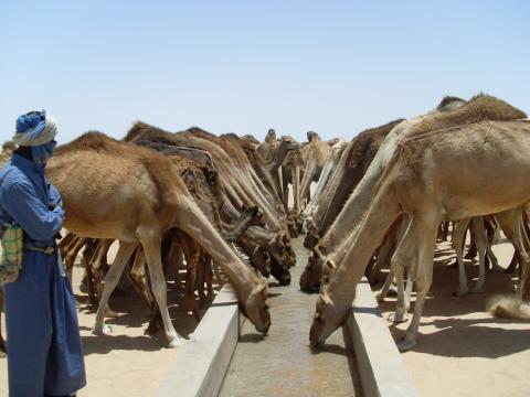 Boulanoir , Mauritania
