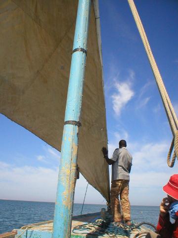 Parque Nacional del Banco de Arguin , Mauritania