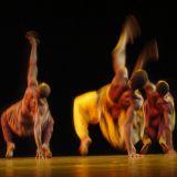 África en Movimiento , Residencia coreográfica 2012, Tenerife