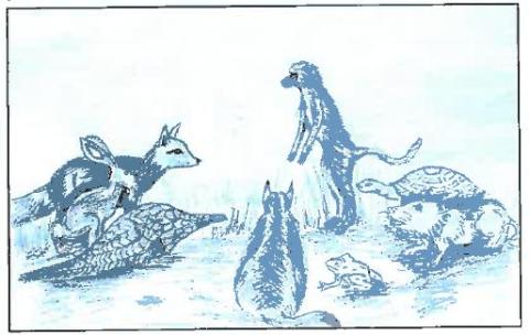 Cuentos de Zimbabwe. La liebre, la tortuga y otros animales