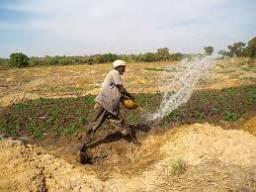 Conflictos de tierras en la región de Mopti (Mali)