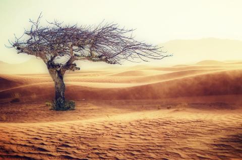 El cambio climático en el Sahel