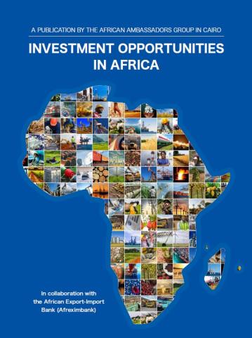 OPORTUNIDADES DE INVERSIÓN EN ÁFRICA