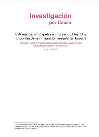 Retrato de la irregularidad