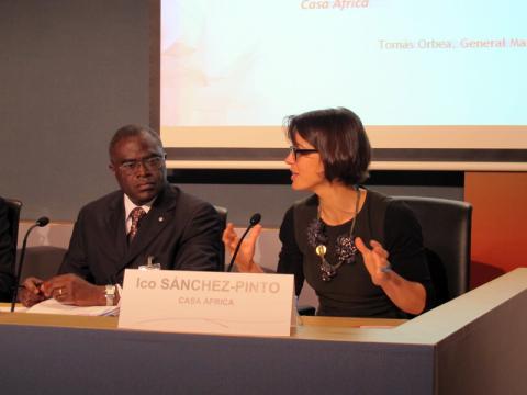 Las empresas españolas se interesan por las licitaciones de grandes proyectos energéticos en África