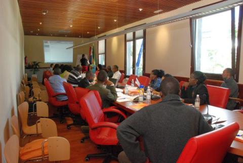 1124_biblioteconomia05.jpg