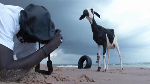 1807_africalls03.jpg