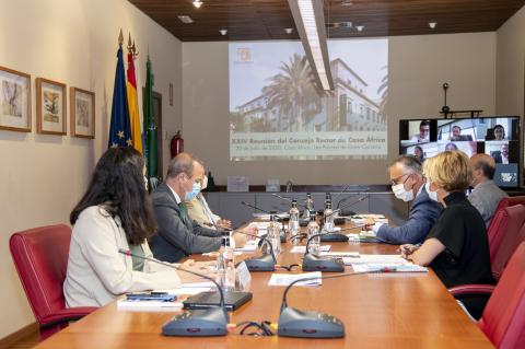 Consejo rector de Casa África del 20 de julio de 2020