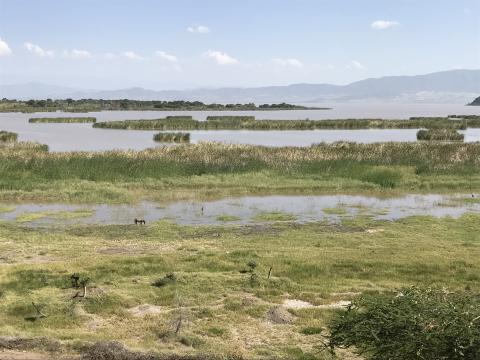 Lago Chamo, cerca de Arba Minch