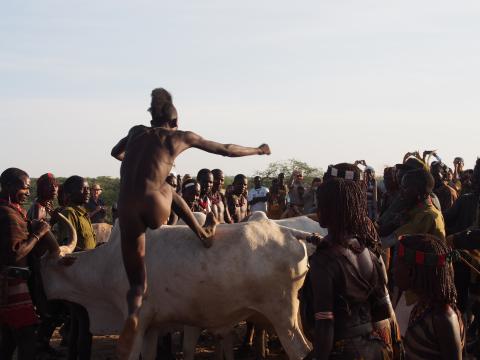 Salto del Toro, Tribu de los Hamer, en Berconech Asile, cerca de Turmi