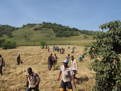 Camino a Konso