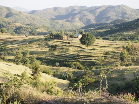 Camino a Konso