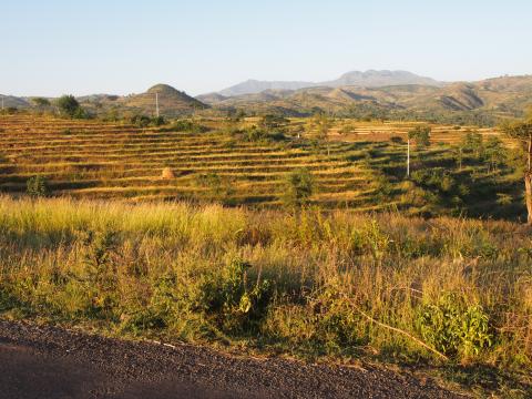 Camino a Konso