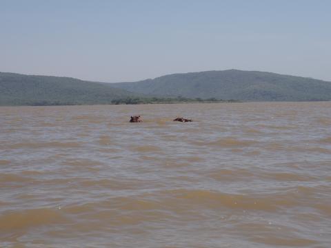 Lago Chamo