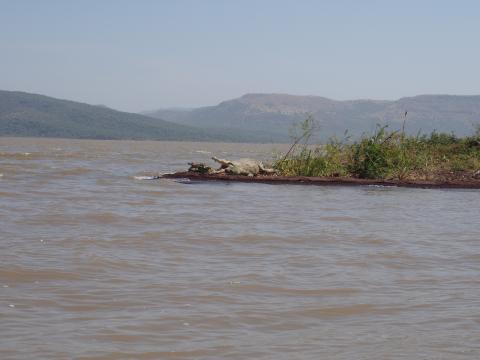 Lago Chamo