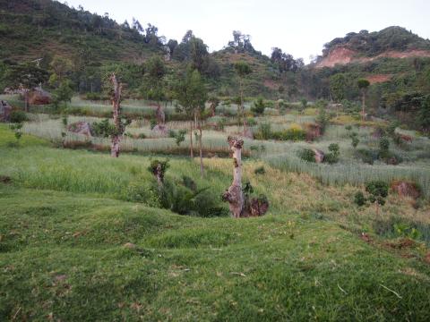 Región de los Dorze, cerca del lago Abaya