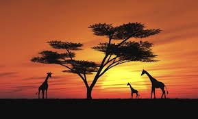 Atardecer en África