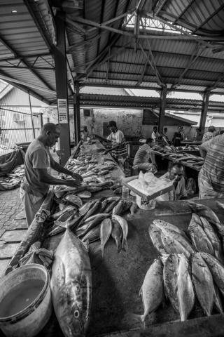 El mercado