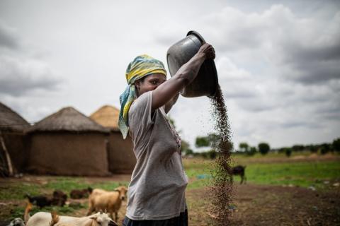 Ganas de comer: Ghana sin hambre