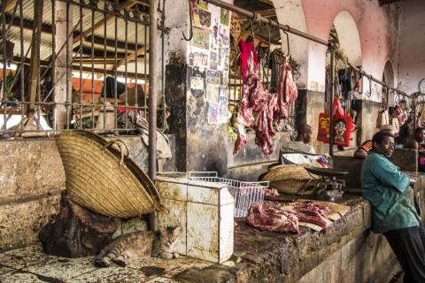 Gato en el mercado de carne
