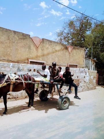 Nada que hacer. dakar.