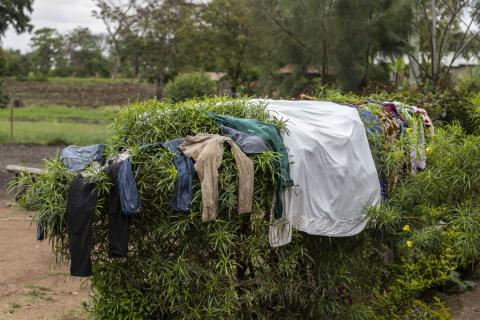 Natural dryer