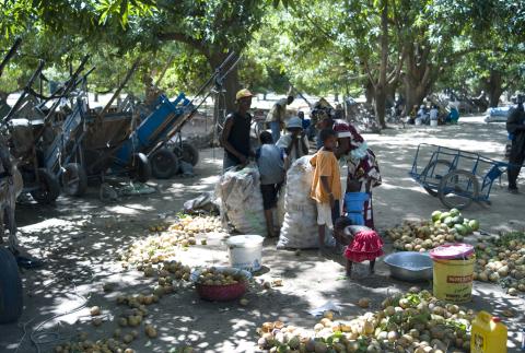 23.	Usos y costumbres, proyecto Soutoura de Ángel Luis Aldai, Casa África