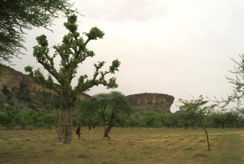 5.	Paisajes, proyecto Soutoura de Ángel Luis Aldai, Casa África