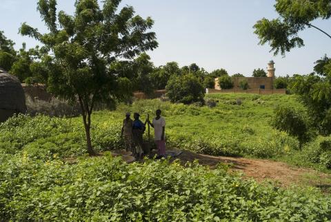 15.	Paisajes, proyecto Soutoura de Ángel Luis Aldai, Casa África