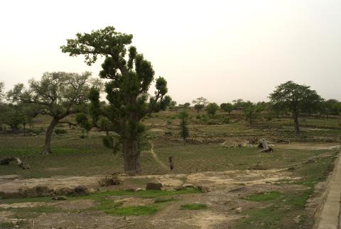 19.	Paisajes, proyecto Soutoura de Ángel Luis Aldai, Casa África