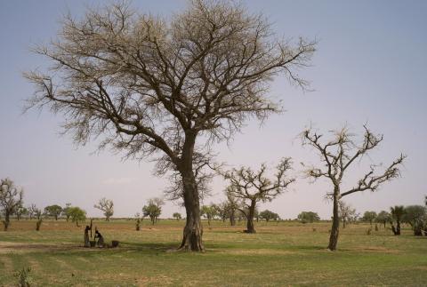 45.	Paisajes, proyecto Soutoura de Ángel Luis Aldai, Casa África