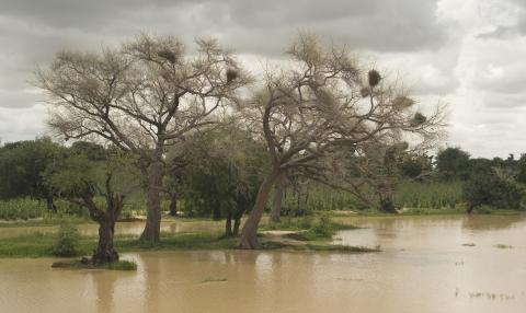 52.	Paisajes, proyecto Soutoura de Ángel Luis Aldai, Casa África