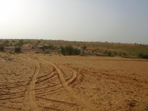 3.	Paisaje de Tidjikja (Mauritania, 2005)