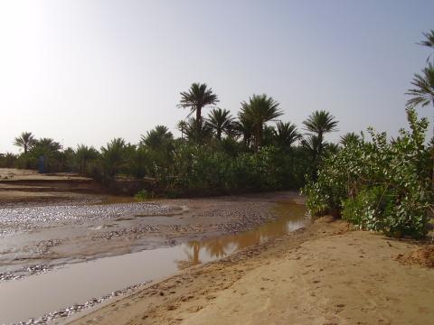 7.	Paisaje de Tidjikja (Mauritania, 2005)