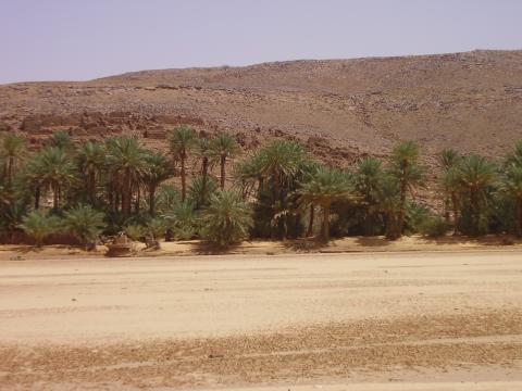 12.	Paisaje de Tidjikja (Mauritania, 2005)