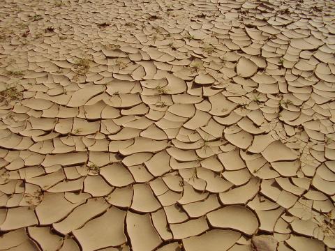15.	Paisaje de Tidjikja (Mauritania, 2005)