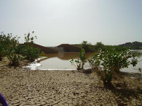 16.	Paisaje de Tidjikja (Mauritania, 2005)