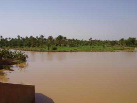 18.	Paisaje de Tidjikja (Mauritania, 2005)