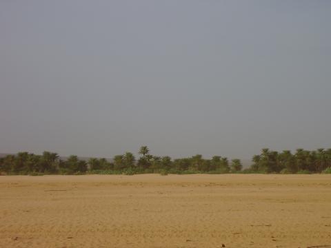 19.	Paisaje de Tidjikja (Mauritania, 2005)