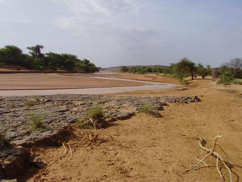 20.	Paisaje de Tidjikja (Mauritania, 2005)