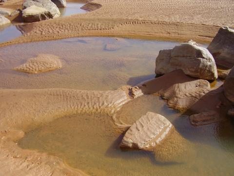 26.	Paisaje de Tidjikja (Mauritania, 2005)